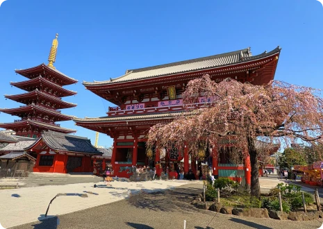 イメージ：浅草桜橋 風景