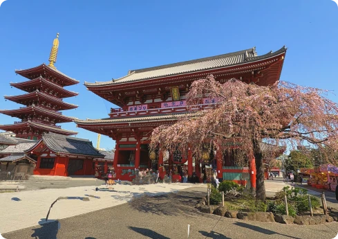イメージ：浅草寺