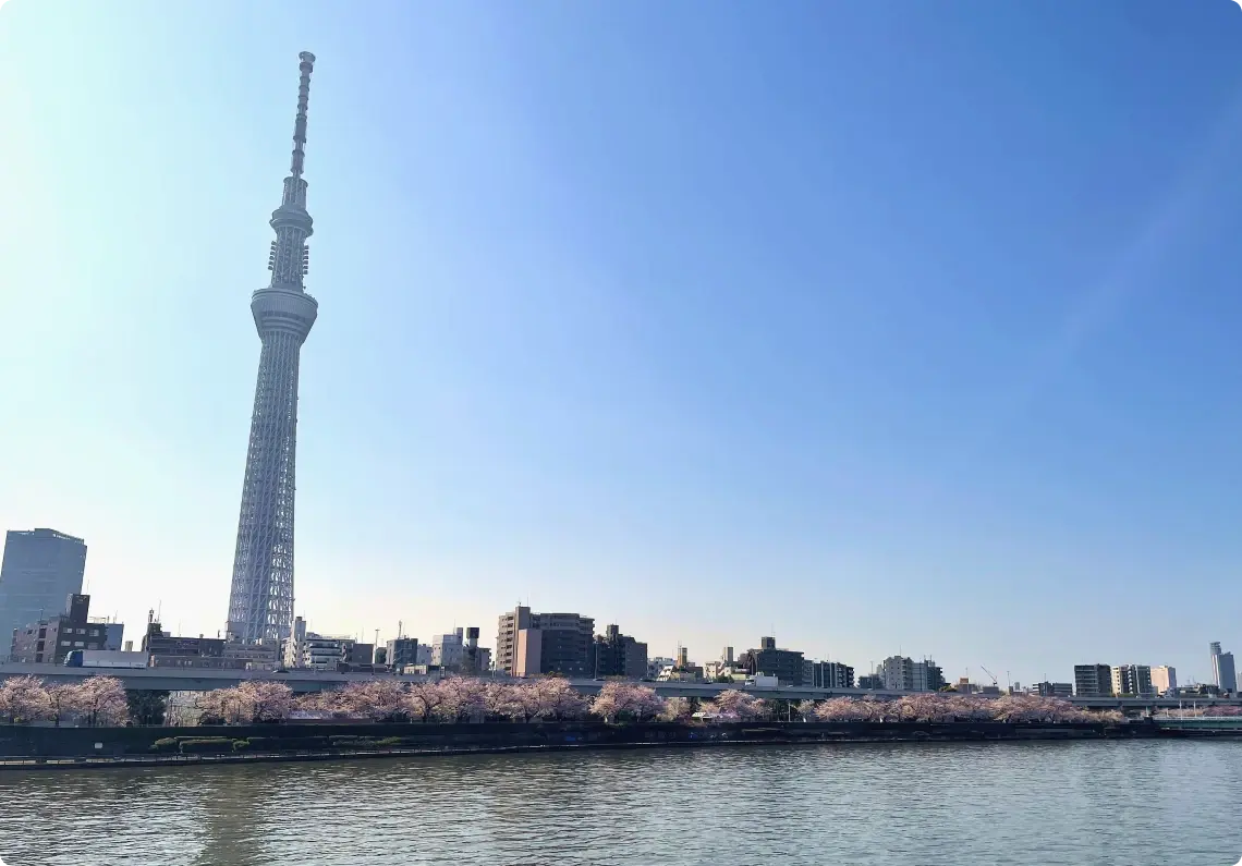 イメージ：隅田川