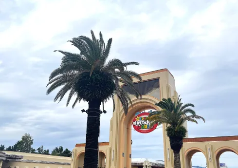 イメージ：USJ